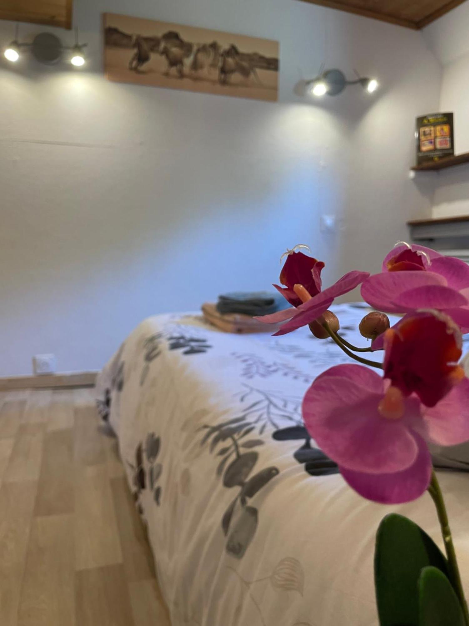 Peniche Le Pescalune - Chambre D'Hotes Arles Exteriér fotografie